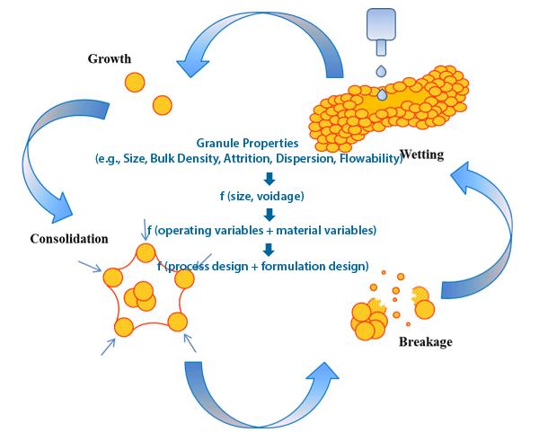 Tablet Manufacturing by Wet Granulation