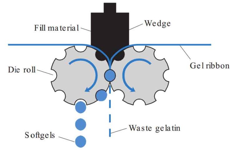 Filling of the mixture into the die roll from an injector wedge