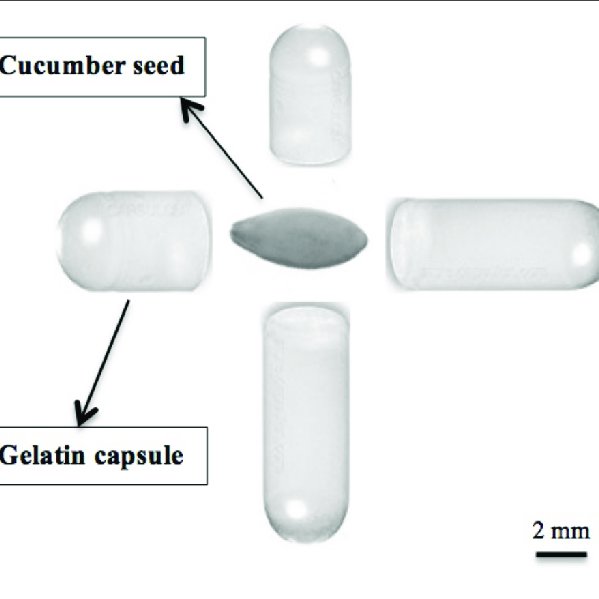 capsules