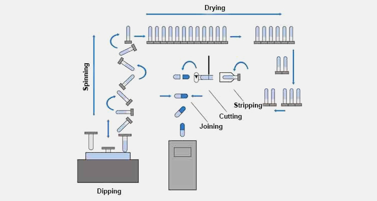 Process of Capsule Formation