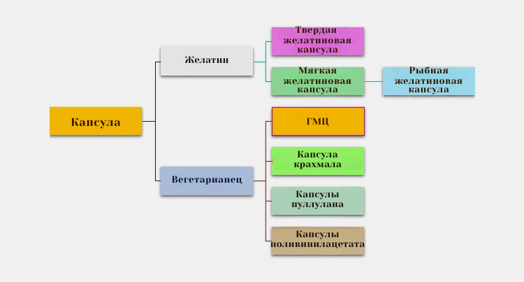 Capsuleввчав