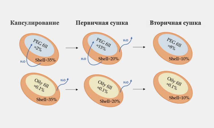 Капсулирование