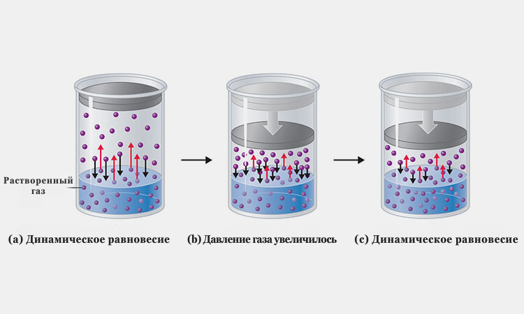 Dissolved-gas