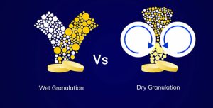 Wet-Granulation-Vs-Dry-Granulation-6